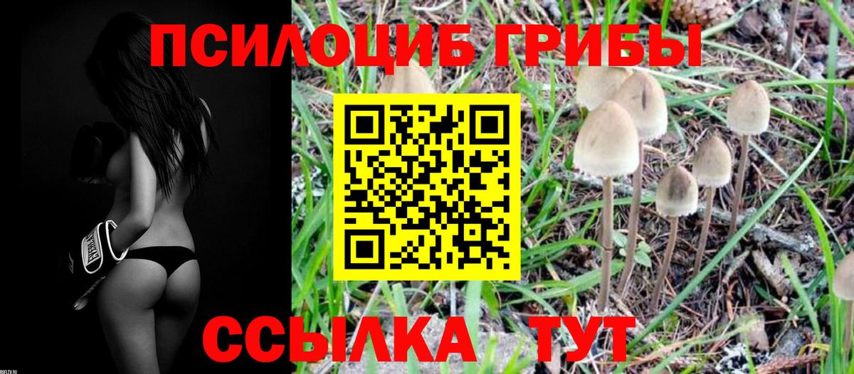 Галлюциногенные грибы MAGIC MUSHROOMS  Псилоцибиновые грибы Magic Shrooms  где продают наркотики  Лесозаводск  Вход с VPN 