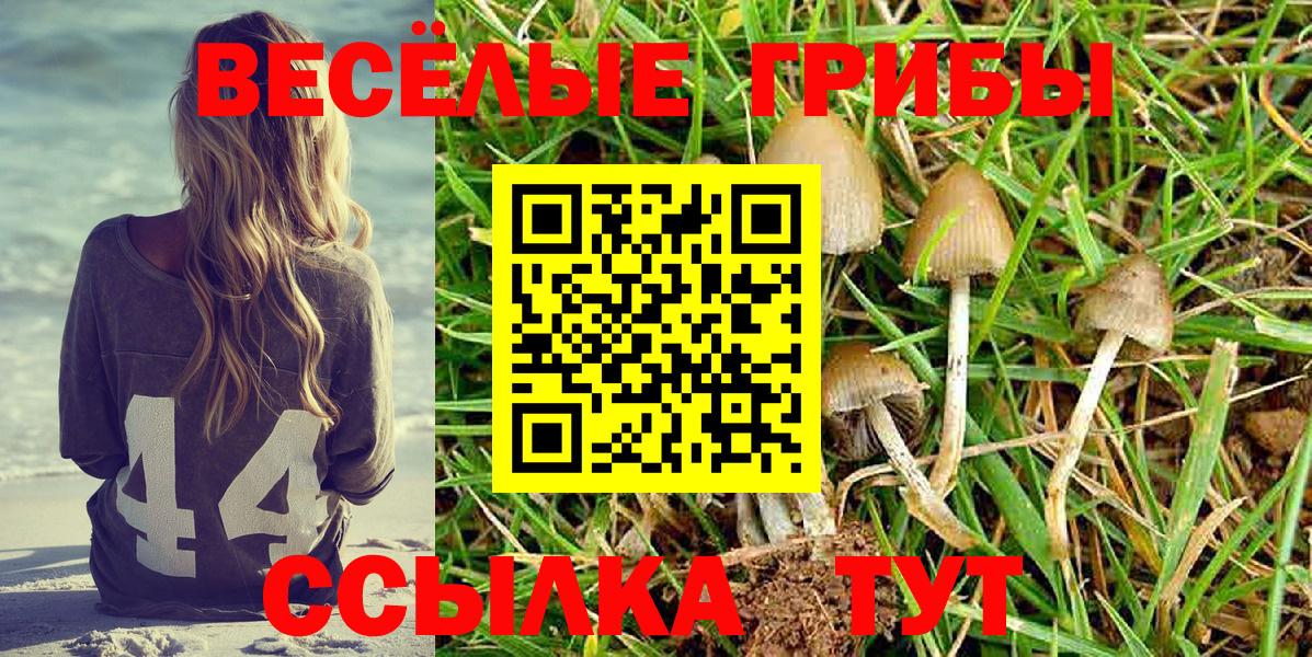 Галлюциногенные грибы мицелий Лесозаводск